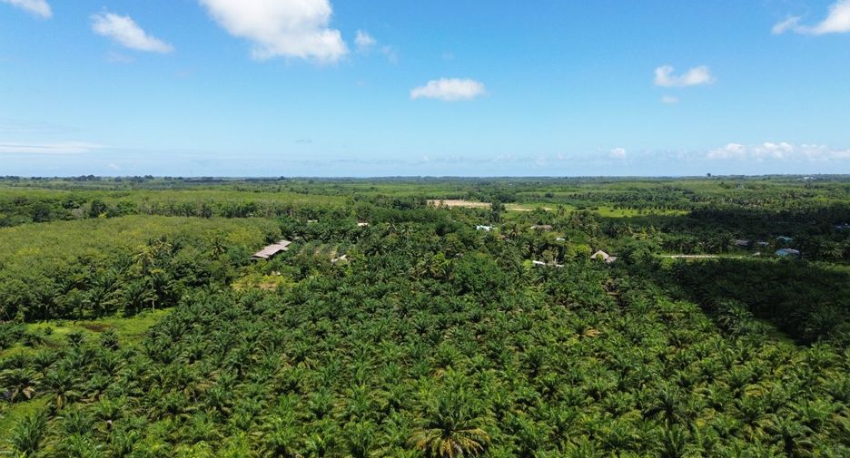 出售 土地 在 Thai Mueang, Phangnga