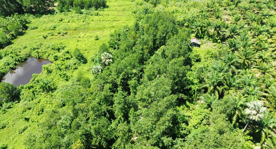 出售 土地 在 Thai Mueang, Phangnga
