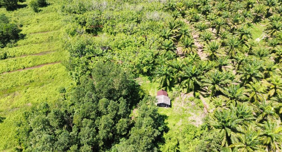 出售 土地 在 Thai Mueang, Phangnga
