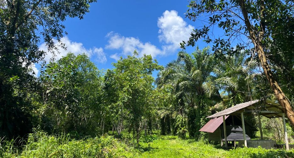 出售 土地 在 Thai Mueang, Phangnga