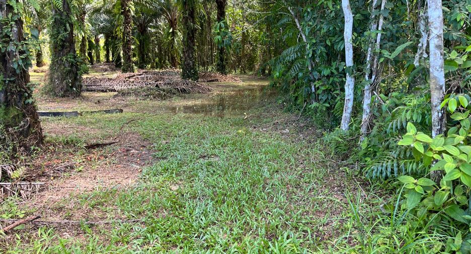 出售 土地 在 Thai Mueang, Phangnga