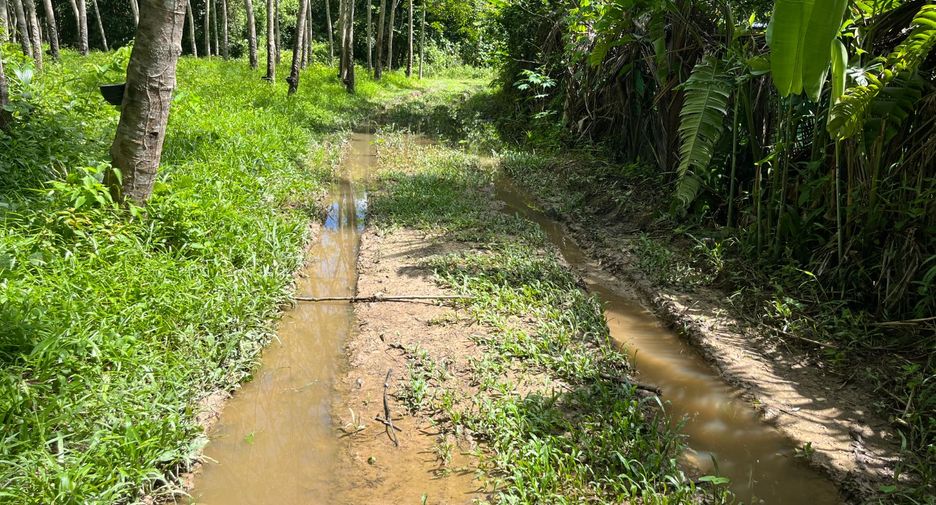 出售 土地 在 Thai Mueang, Phangnga