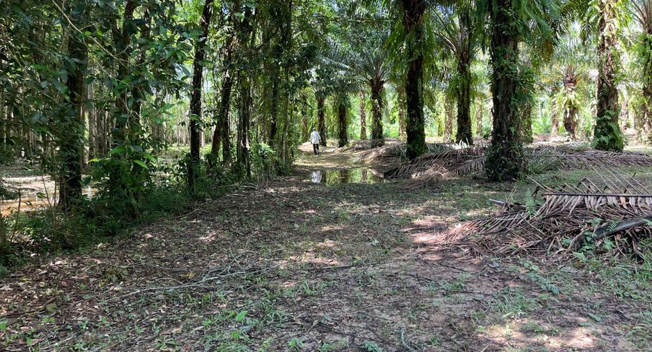 出售 土地 在 Thai Mueang, Phangnga