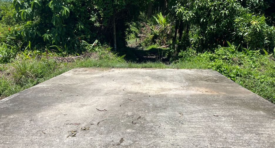 出售 土地 在 Thai Mueang, Phangnga