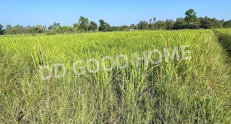 For sale land in Phanna Nikhom, Sakon Nakhon