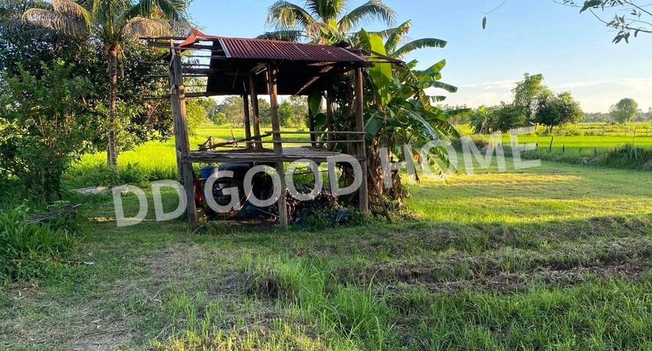 For sale land in Phanna Nikhom, Sakon Nakhon