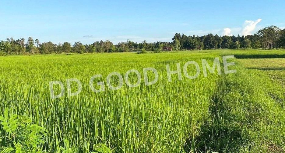 For sale land in Phanna Nikhom, Sakon Nakhon