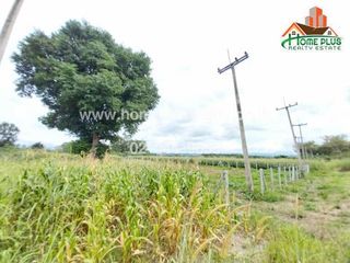 For sale land in Pak Chong, Nakhon Ratchasima