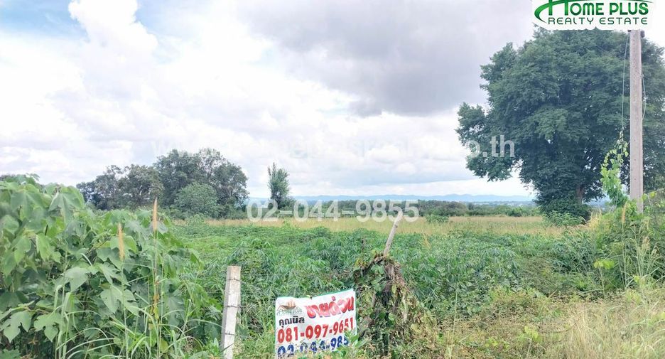 For sale land in Pak Chong, Nakhon Ratchasima