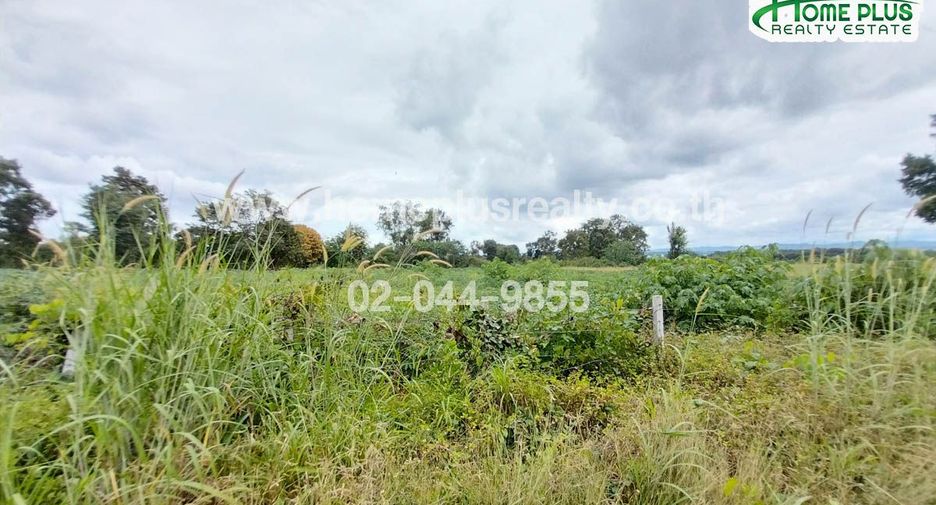 For sale land in Pak Chong, Nakhon Ratchasima