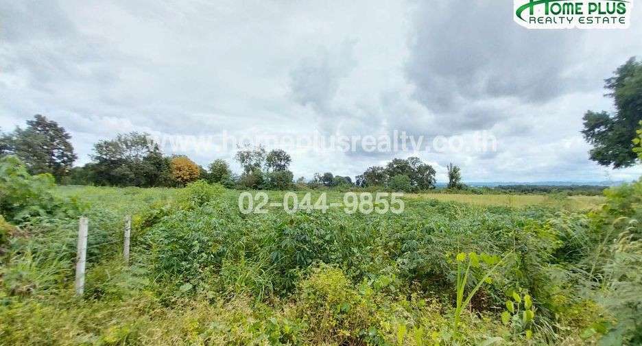 For sale land in Pak Chong, Nakhon Ratchasima