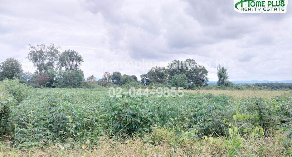 For sale land in Pak Chong, Nakhon Ratchasima