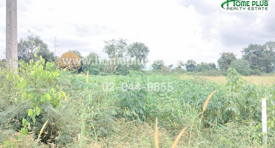 For sale land in Pak Chong, Nakhon Ratchasima
