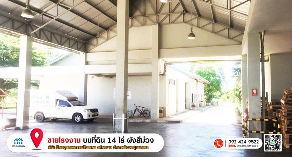 For sale 10 bedrooms warehouse in Mueang Samut Sakhon, Samut Sakhon