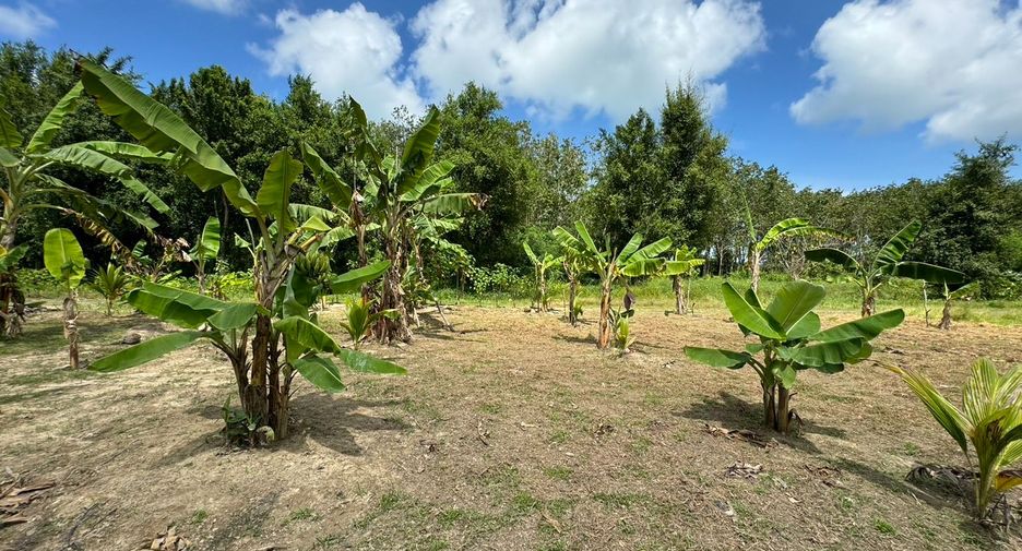 Terreno en venta en Thalang, Phuket
