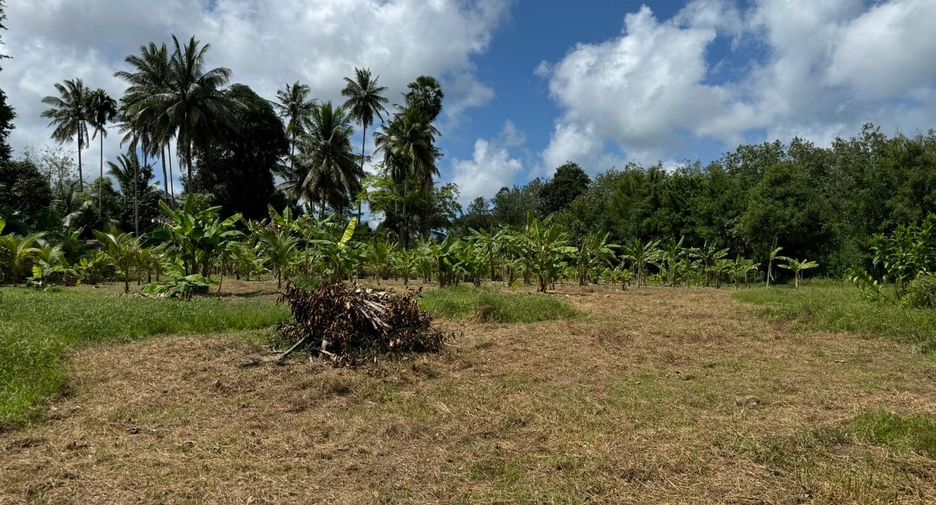 Terreno en venta en Thalang, Phuket