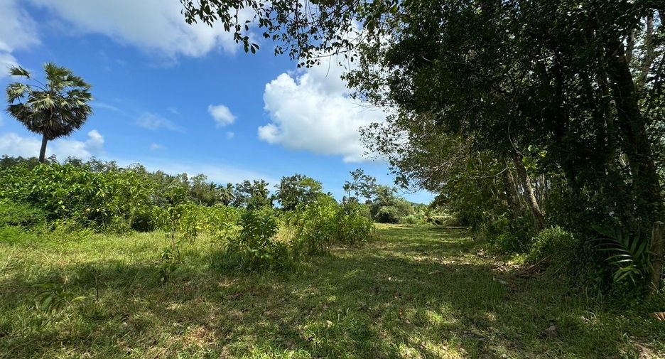 Terreno en venta en Thalang, Phuket
