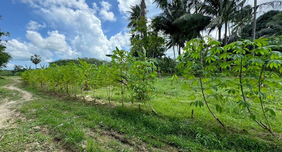 Terreno en venta en Thalang, Phuket