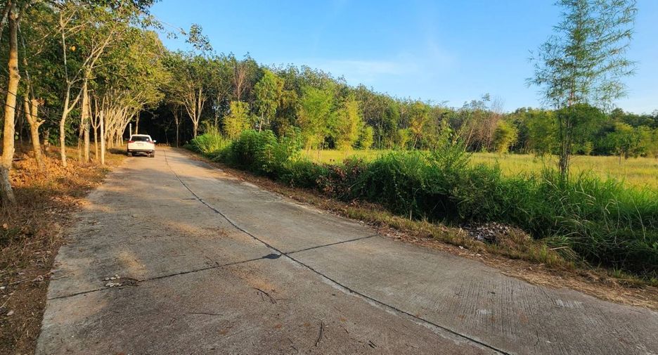 For sale land in Klaeng, Rayong