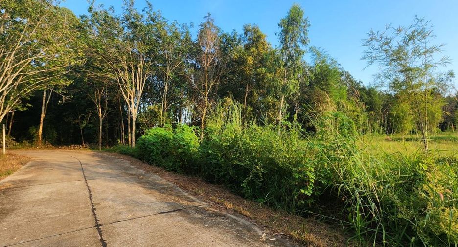For sale land in Klaeng, Rayong