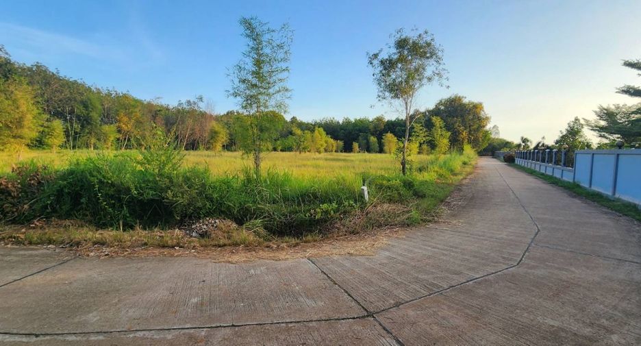 For sale land in Klaeng, Rayong