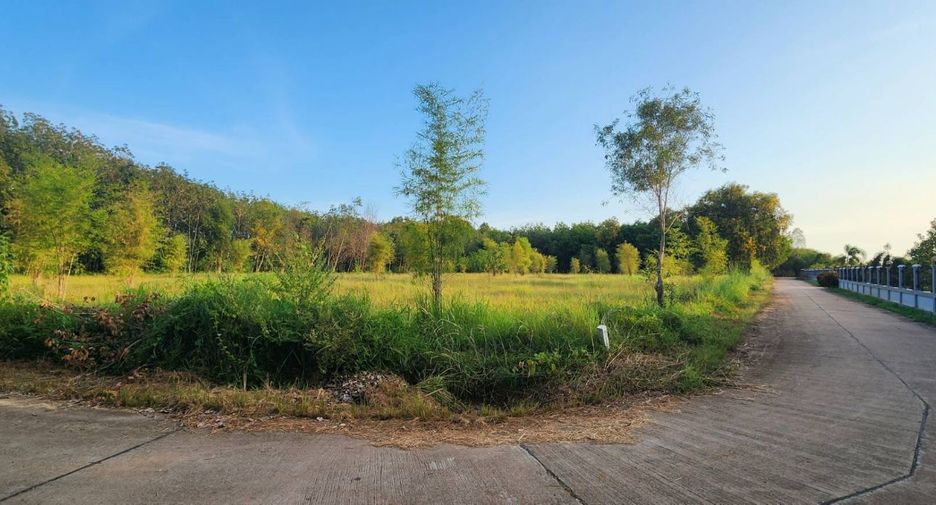 For sale land in Klaeng, Rayong