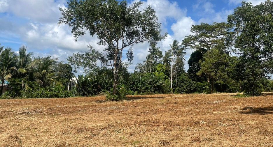 For sale land in Thalang, Phuket