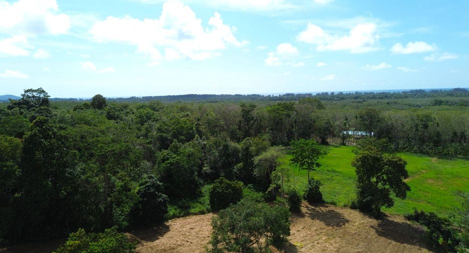 For sale land in Thalang, Phuket