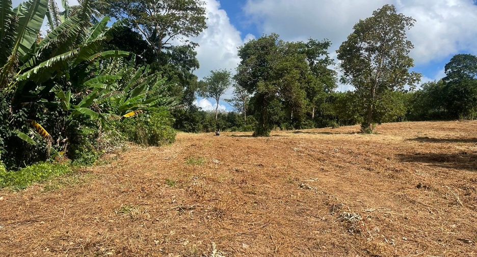 For sale land in Thalang, Phuket
