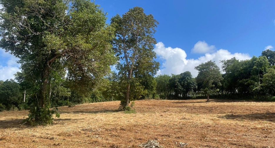 For sale land in Thalang, Phuket