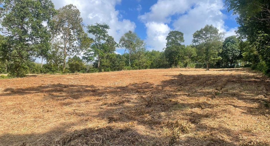 For sale land in Thalang, Phuket