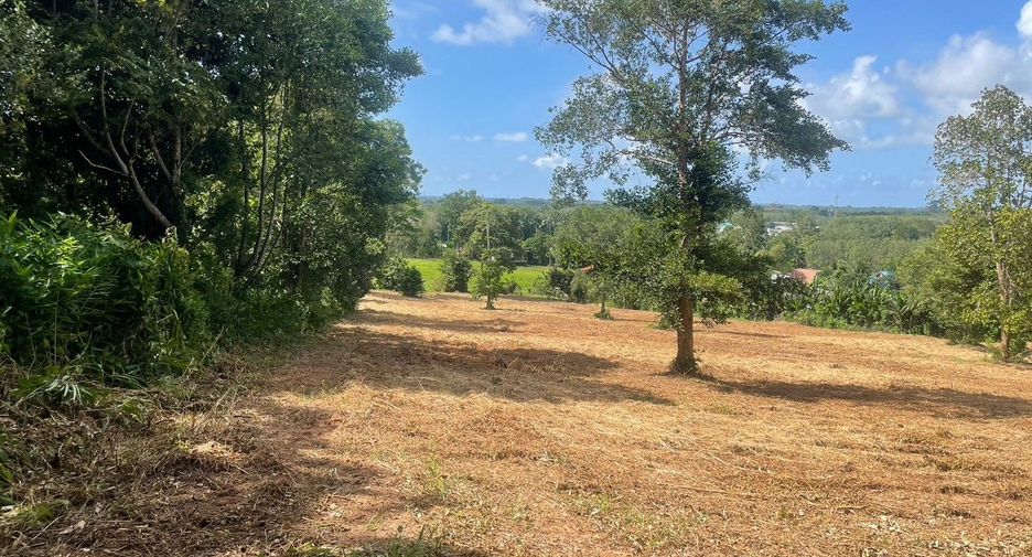 For sale land in Thalang, Phuket