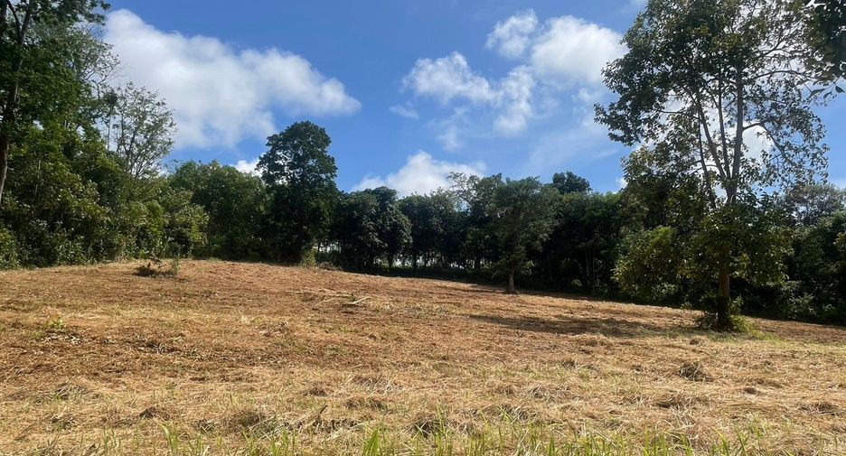 For sale land in Thalang, Phuket