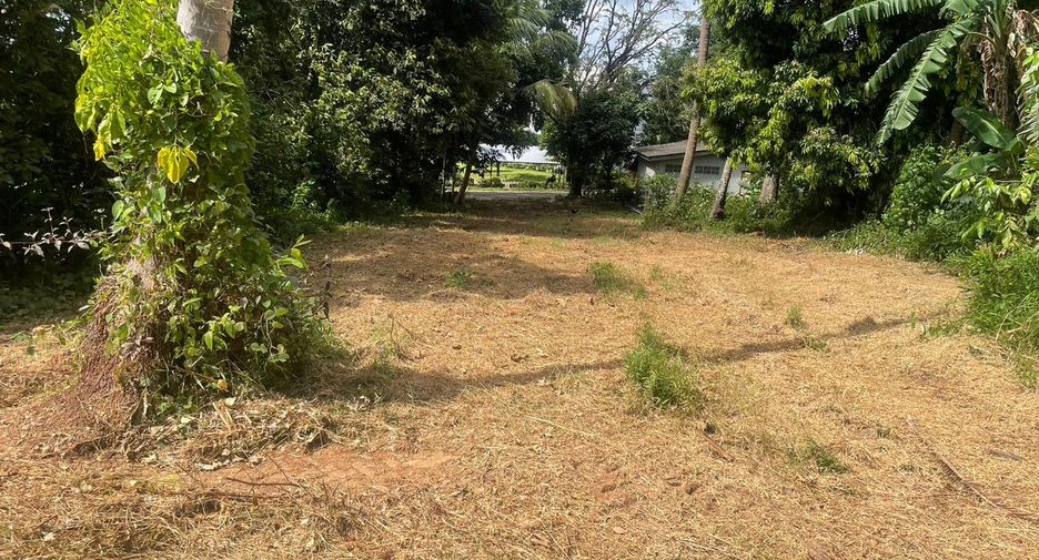 For sale land in Thalang, Phuket
