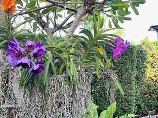 For sale 4 bedrooms house in Sai Mai, Bangkok