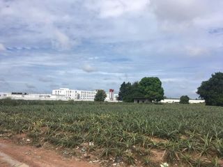 出售 土地 在 Pluak Daeng, Rayong