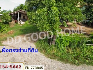 ขาย ที่ดิน ใน เมืองพิษณุโลก, พิษณุโลก