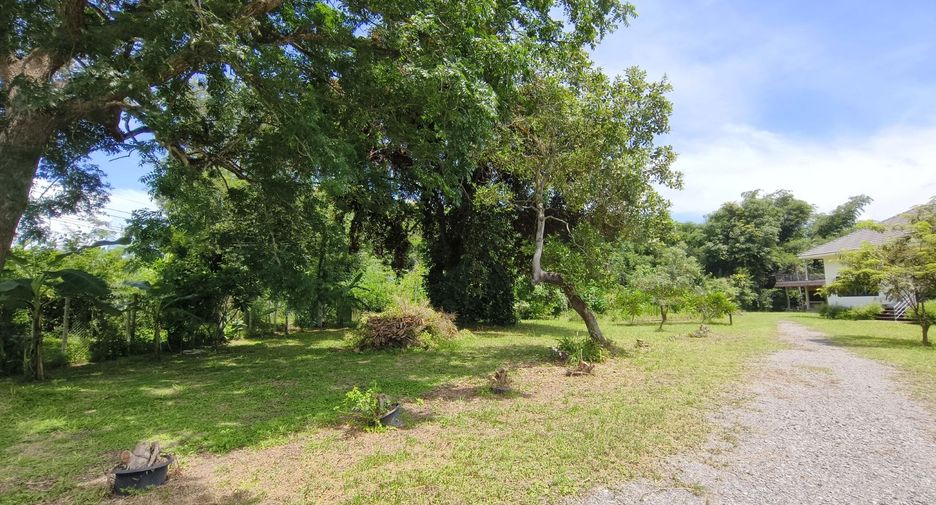 For rent and for sale 4 bedrooms house in San Kamphaeng, Chiang Mai