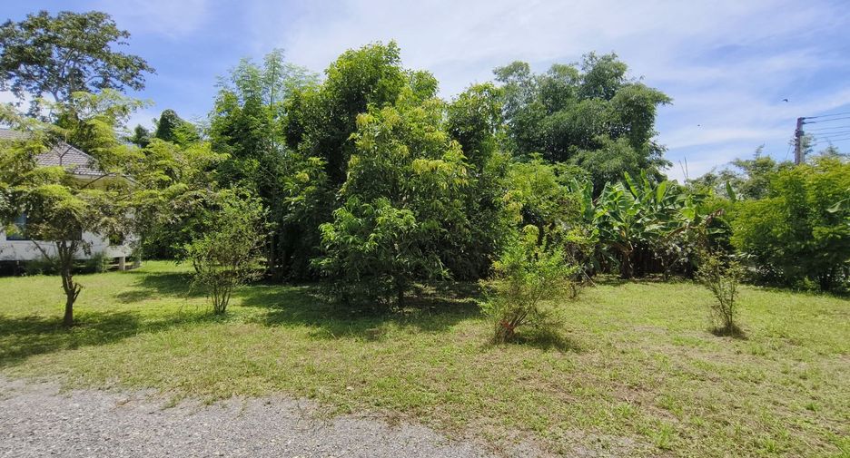 For rent and for sale 4 bedrooms house in San Kamphaeng, Chiang Mai