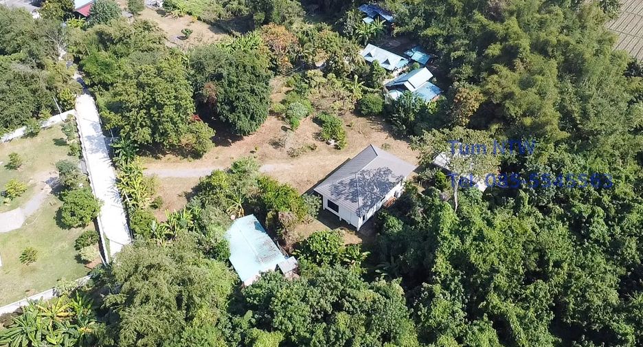 For rent and for sale 4 bedrooms house in San Kamphaeng, Chiang Mai
