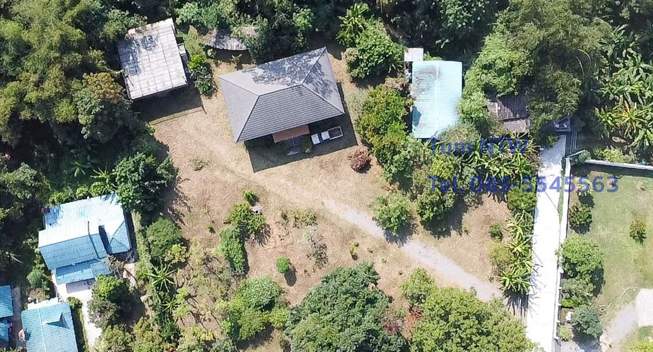 For rent and for sale 4 bedrooms house in San Kamphaeng, Chiang Mai