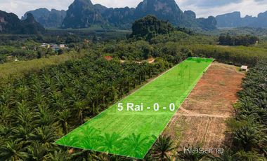 For sale land in Mueang Krabi, Krabi
