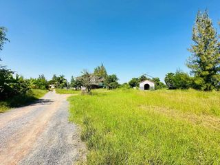 For sale land in Dan Khun Thot, Nakhon Ratchasima