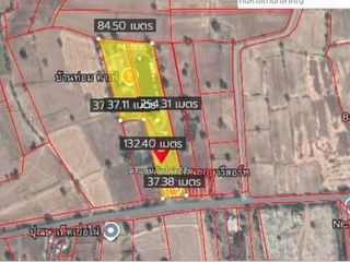 For sale land in Dan Khun Thot, Nakhon Ratchasima