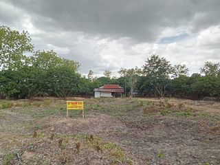 ขาย ที่ดิน ใน เมืองลำพูน, ลำพูน