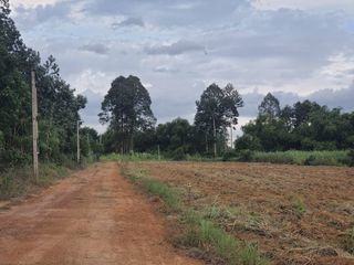 For sale land in Phanom Sarakham, Chachoengsao
