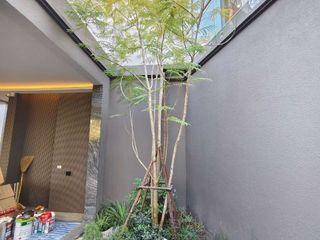 ให้เช่า และ ขาย 4 ห้องนอน บ้านเดี่ยว ใน ดอยสะเก็ด, เชียงใหม่