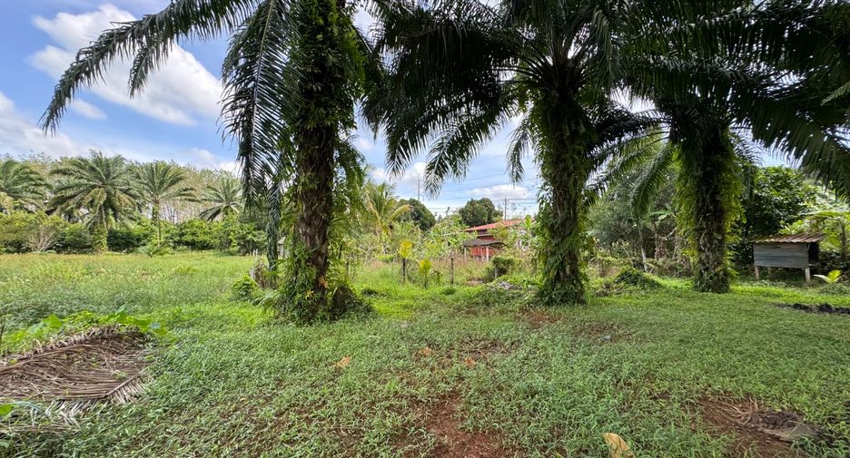 For sale 2 Beds house in Takua Pa, Phang Nga