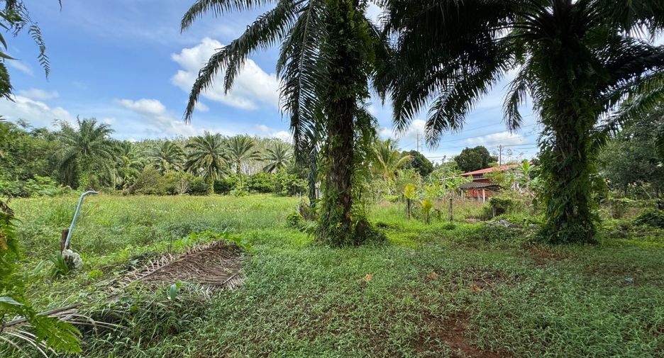 For sale 2 Beds house in Takua Pa, Phang Nga