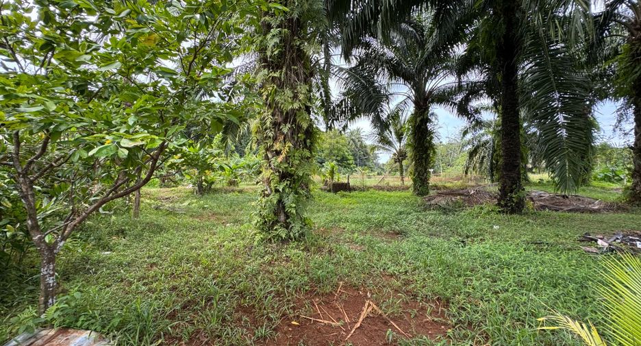 For sale 2 Beds house in Takua Pa, Phang Nga